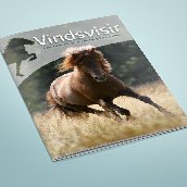 Vindsvisir Magazine